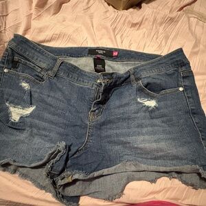 Torrid Blue Distressed Denim Shorts